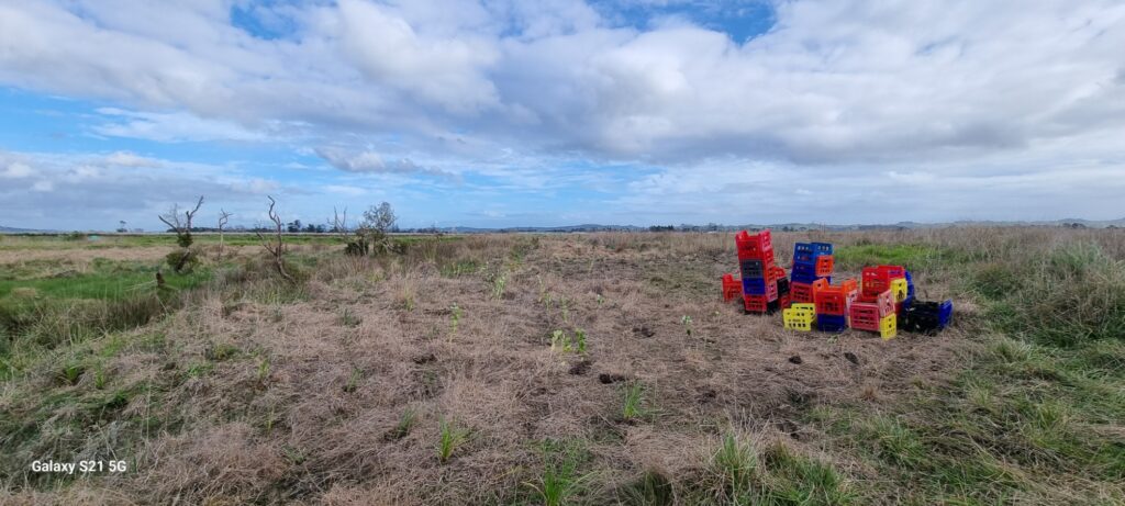 Ongoing conservation plan