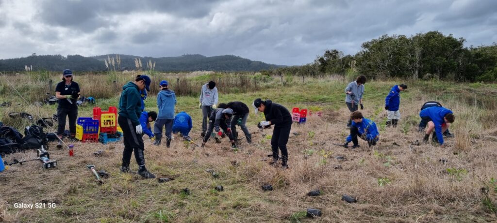 Planting at Skydive Auckland
