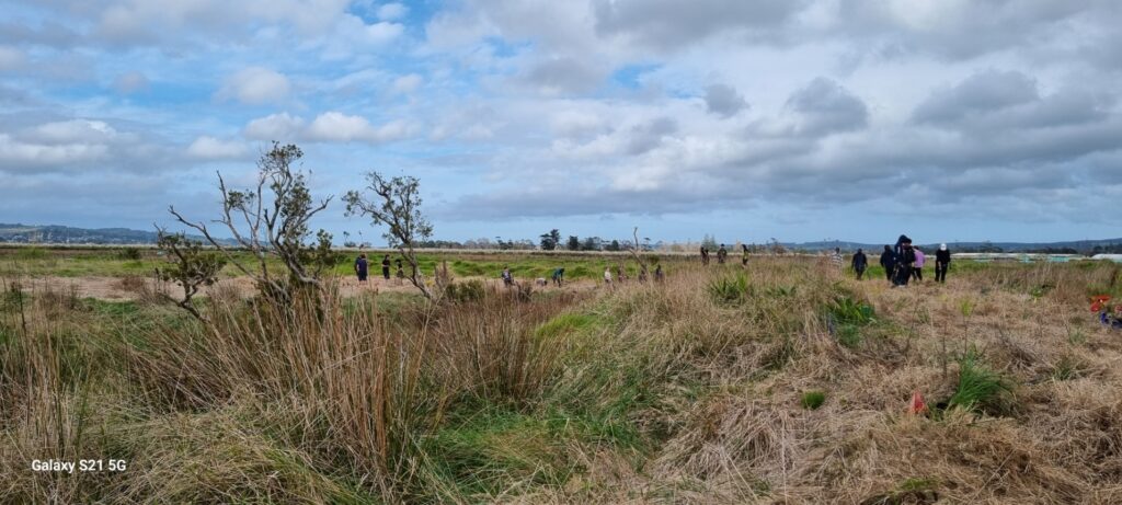 Conservation Project
