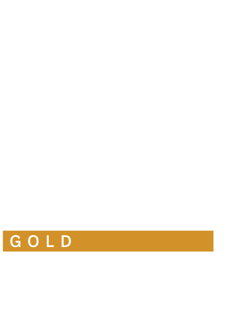 Qualmark Gold Award Skydive Auckland