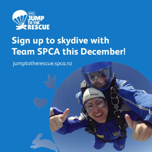 SPCA Jump To The Rescue