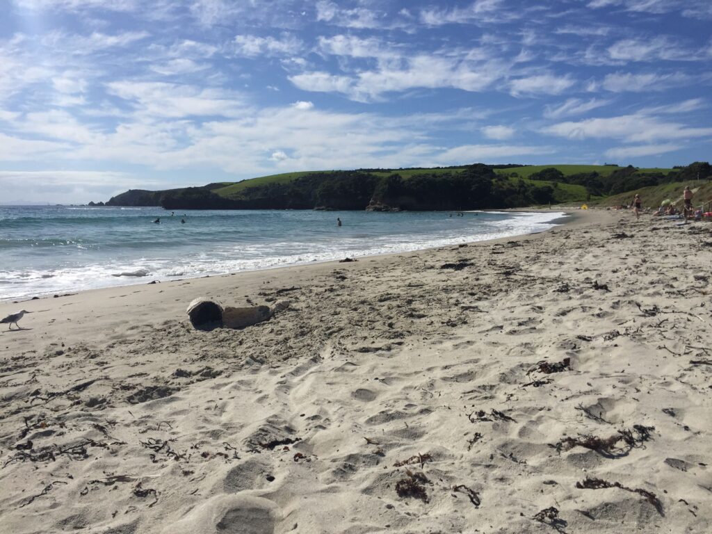 Tawharanui Beach