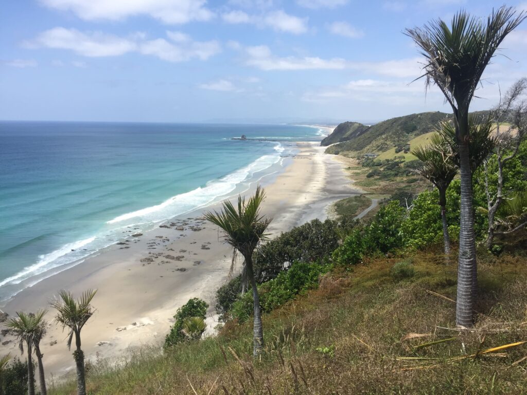 Mangawhai Beach